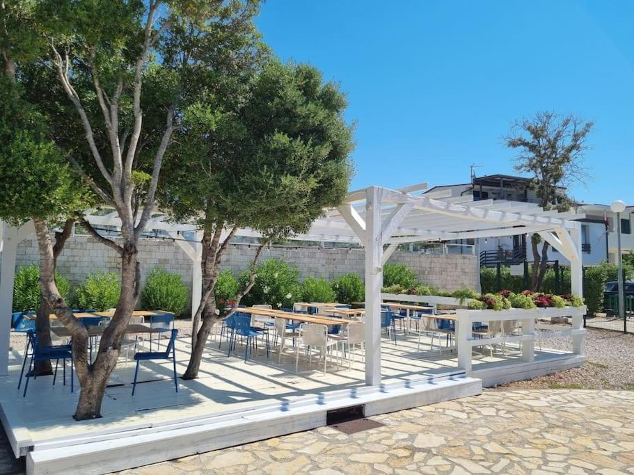 Sunny Sky Punta Skala, See View, 75 M To The Beach Petrčane Exterior foto