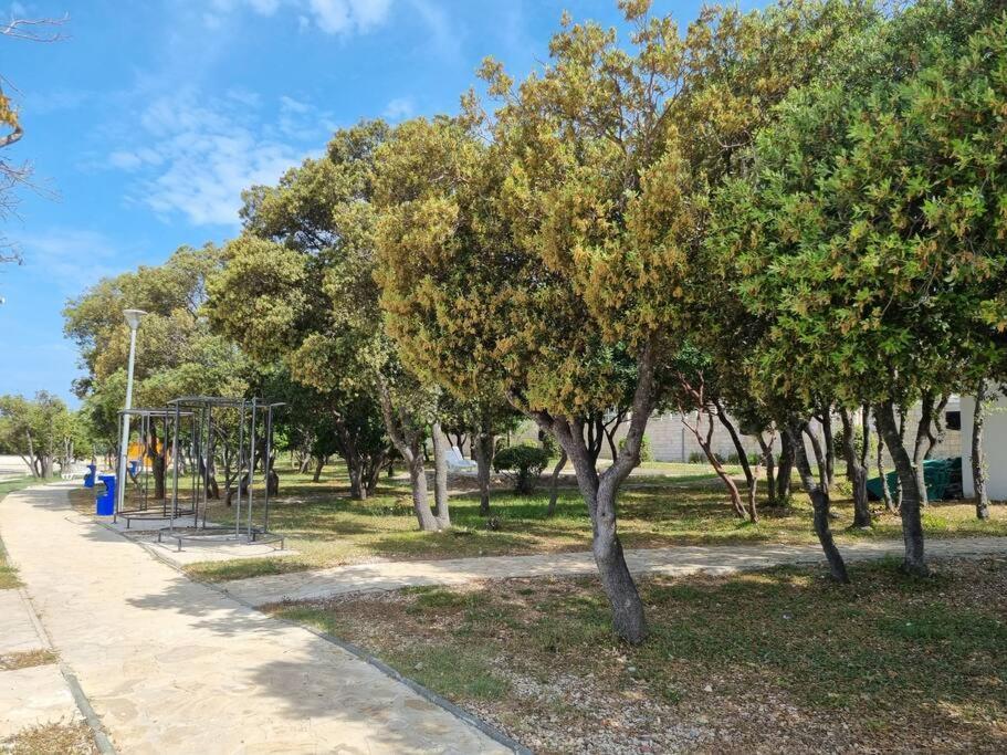 Sunny Sky Punta Skala, See View, 75 M To The Beach Petrčane Exterior foto